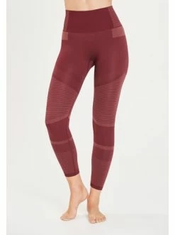 Großhandel ✨ Bekleidung Athlecia Funktionstights SEMARAN SEAMLESS In 4132 Tawny Port Günstig Kaufen 🔥 -Athlecia Verkäufe athlecia funktionstights semaran seamless in 4132 tawny port 4