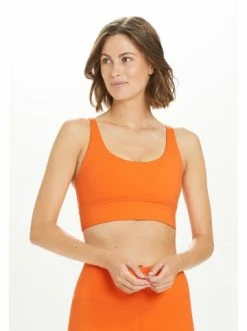 Besorgen ⌛ Outdoor & Sport Athlecia Sport-BH Gaby In 5117 Dragon Fire Günstig Kaufen ⌛ -Athlecia Verkäufe athlecia sport bh gaby in 5117 dragon fire 4