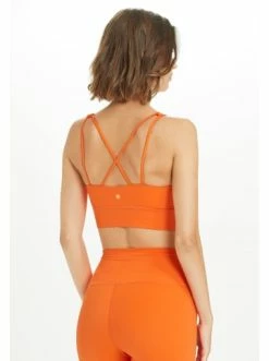 Besorgen ⌛ Outdoor & Sport Athlecia Sport-BH Gaby In 5117 Dragon Fire Günstig Kaufen ⌛ -Athlecia Verkäufe athlecia sport bh gaby in 5117 dragon fire 5