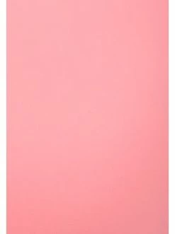 Budget 👍 Outdoor & Sport Athlecia Sport-BH Jennie In 4096 Peach Blossom Günstig Kaufen ✔️ 16 Budget 👍 Outdoor & Sport Athlecia Sport-BH Jennie In 4096 Peach Blossom Günstig Kaufen ✔️ -Athlecia Verkäufe athlecia sport bh jennie in 4096 peach blossom 6